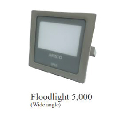 Flood Light